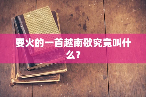 要火的一首越南歌究竟叫什么？