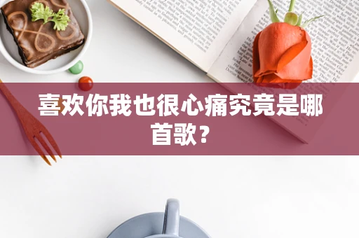 喜欢你我也很心痛究竟是哪首歌？