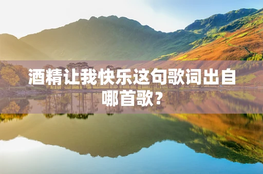 酒精让我快乐这句歌词出自哪首歌？