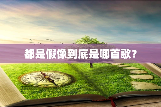 都是假像到底是哪首歌？