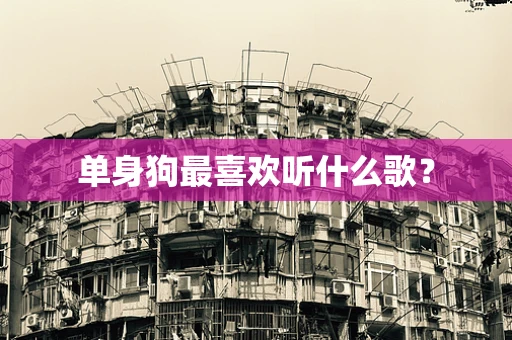 单身狗最喜欢听什么歌？