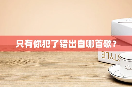 只有你犯了错出自哪首歌？