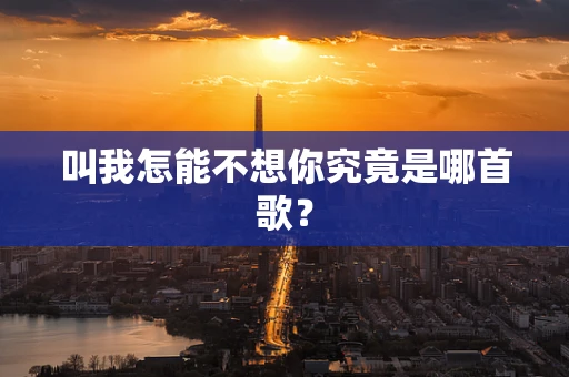 叫我怎能不想你究竟是哪首歌？