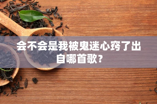 会不会是我被鬼迷心窍了出自哪首歌？