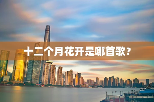 十二个月花开是哪首歌？