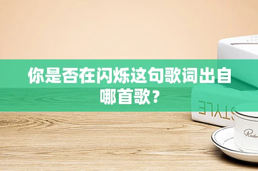 你是否在闪烁这句歌词出自哪首歌？