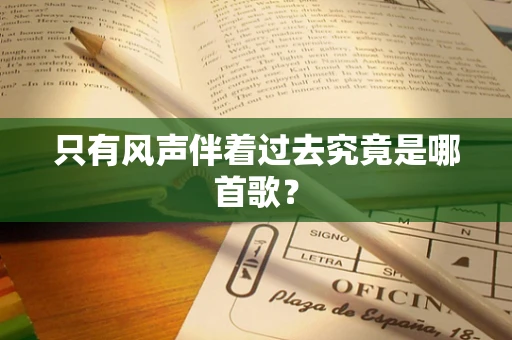只有风声伴着过去究竟是哪首歌？