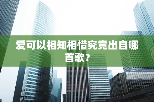 爱可以相知相惜究竟出自哪首歌？