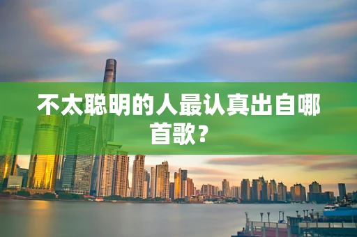 不太聪明的人最认真出自哪首歌？