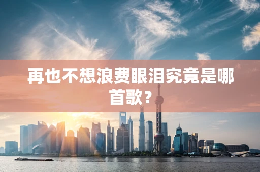 再也不想浪费眼泪究竟是哪首歌？