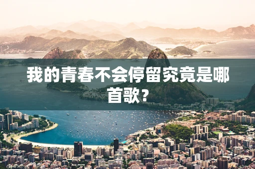 我的青春不会停留究竟是哪首歌？
