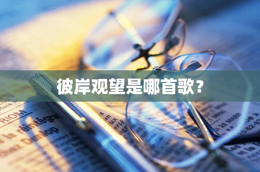 彼岸观望是哪首歌？