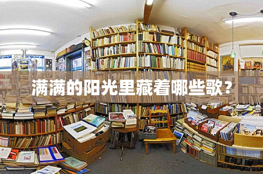 满满的阳光里藏着哪些歌？