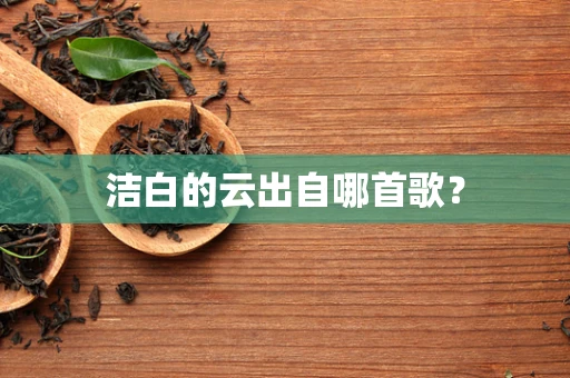 洁白的云出自哪首歌？