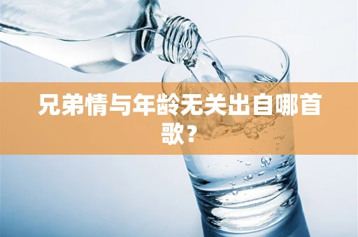 兄弟情与年龄无关出自哪首歌？