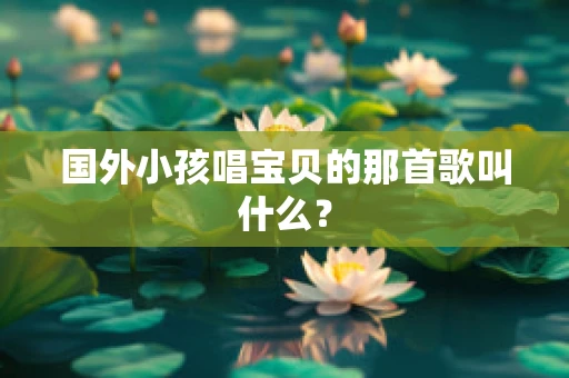 国外小孩唱宝贝的那首歌叫什么？