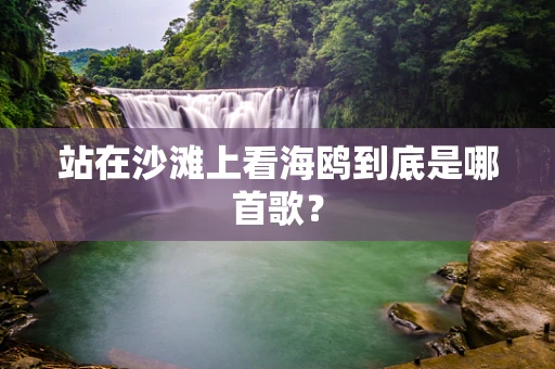 站在沙滩上看海鸥到底是哪首歌？
