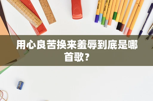 用心良苦换来羞辱到底是哪首歌？