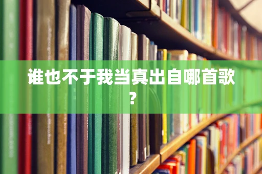 谁也不于我当真出自哪首歌？