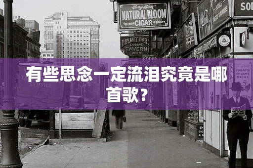 有些思念一定流泪究竟是哪首歌？