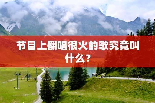 节目上翻唱很火的歌究竟叫什么？
