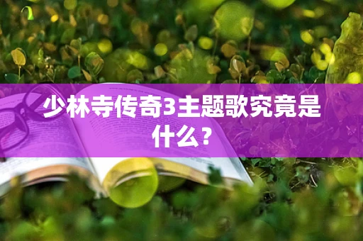 少林寺传奇3主题歌究竟是什么？
