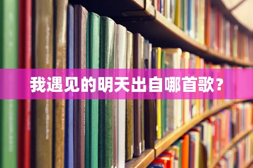 我遇见的明天出自哪首歌？