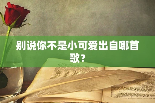 别说你不是小可爱出自哪首歌？