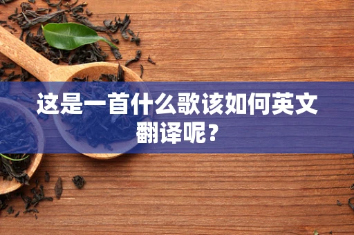 这是一首什么歌该如何英文翻译呢？