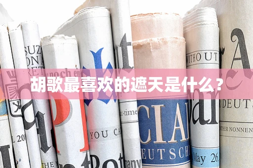 胡歌最喜欢的遮天是什么？