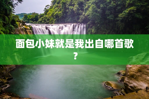 面包小妹就是我出自哪首歌？