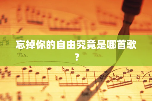 忘掉你的自由究竟是哪首歌？