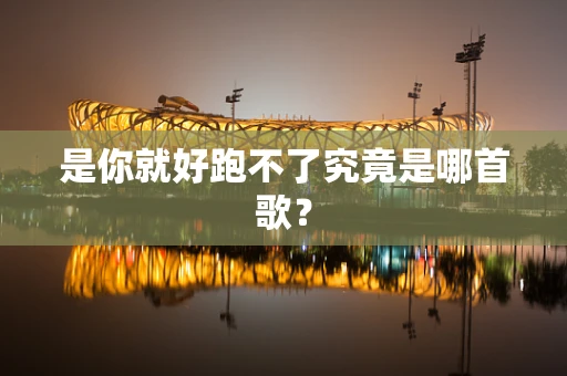 是你就好跑不了究竟是哪首歌？