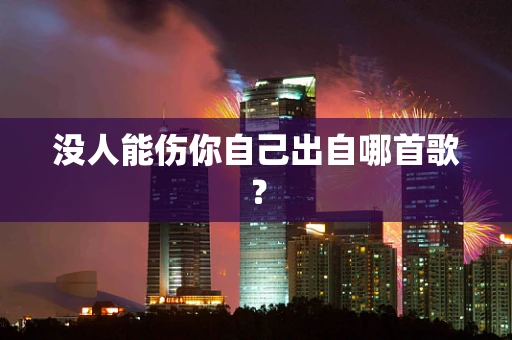 没人能伤你自己出自哪首歌？