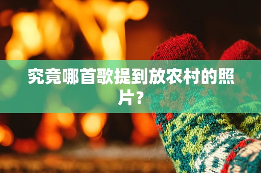 究竟哪首歌提到放农村的照片？