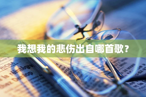 我想我的悲伤出自哪首歌？