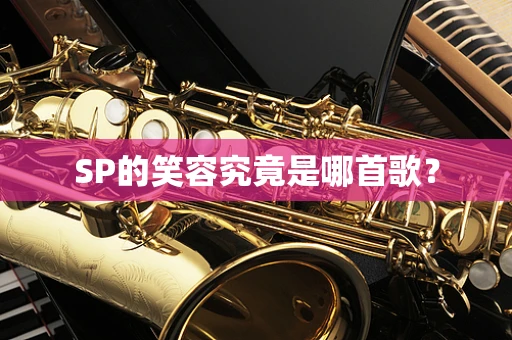 SP的笑容究竟是哪首歌？