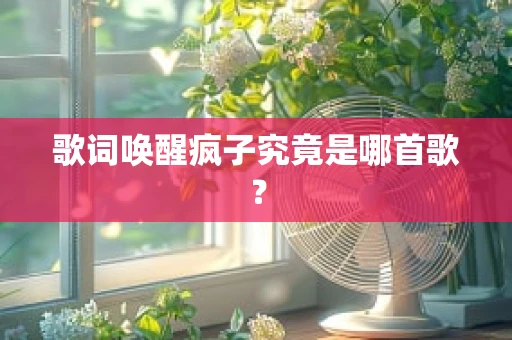 歌词唤醒疯子究竟是哪首歌？