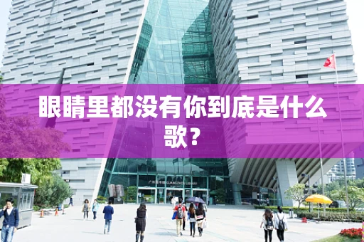 眼睛里都没有你到底是什么歌？