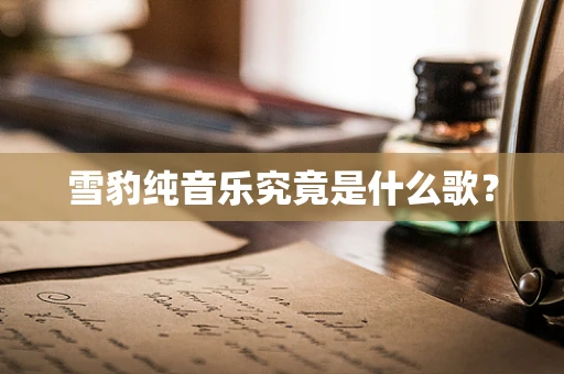 雪豹纯音乐究竟是什么歌？