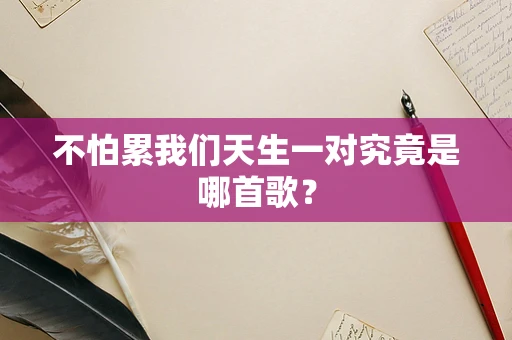不怕累我们天生一对究竟是哪首歌？