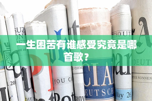 一生困苦有谁感受究竟是哪首歌？