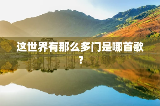 这世界有那么多门是哪首歌？