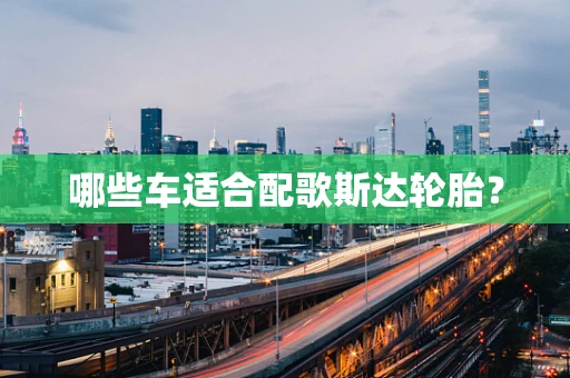 哪些车适合配歌斯达轮胎？