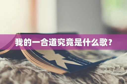 我的一合道究竟是什么歌？