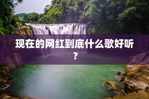 现在的网红到底什么歌好听？