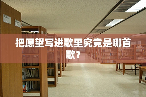 把愿望写进歌里究竟是哪首歌？
