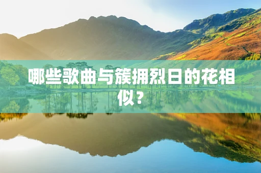 哪些歌曲与簇拥烈日的花相似？