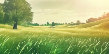 阳光下漫步的草原究竟是哪首歌？