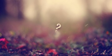 你下辈子怎么办出自哪首歌？